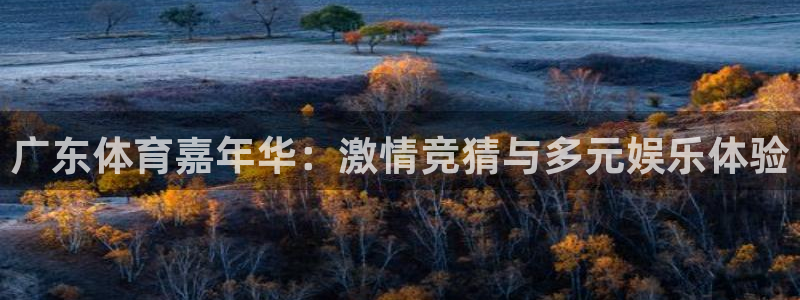 五星体育频道斗地主直播回看：广东体育嘉年华：激情竞猜与多元娱乐体验