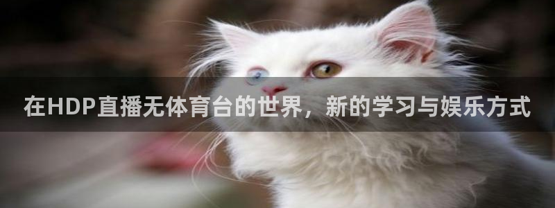 张效玮 五星体育：在HDP直播无体育台的世界，新的学习与娱乐方式