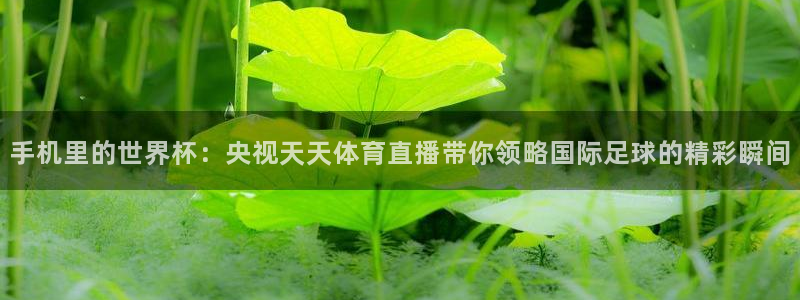 五星体育直播观看f1：手机里的世界杯：央视天天体育直播带你领略国际足球的精彩瞬间