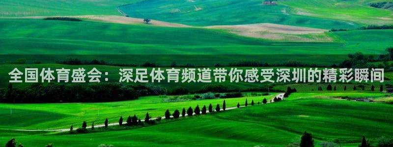上海五星体育app：全国体育盛会：深足体育频道带你感受深圳的精彩瞬间