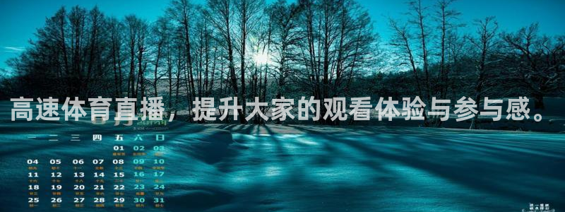 上海五星体育直播入口：高速体育直播，提升大家的观看体验与参与感。