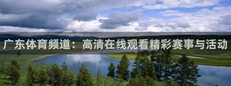 上海体育频道五星体育在线直播
