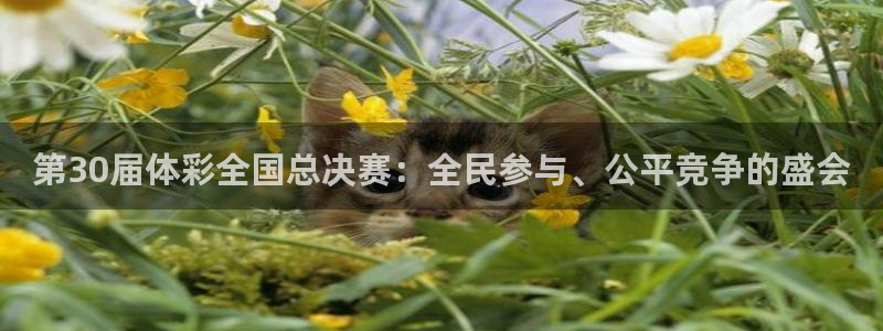 今日五星体育斯诺克直播