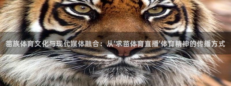 五星体育唐蒙：苗族体育文化与现代媒体融合：从\'求苗体育直播\'体育精神的传播方式