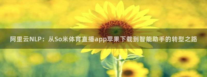 f1在线直播 五星体育：阿里云NLP：从So米体育直播app苹果下载到智能助手的转型之路